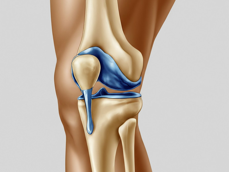 Effective Strategies for Meniscus Tear Recovery Time and Knee Cartilage Health