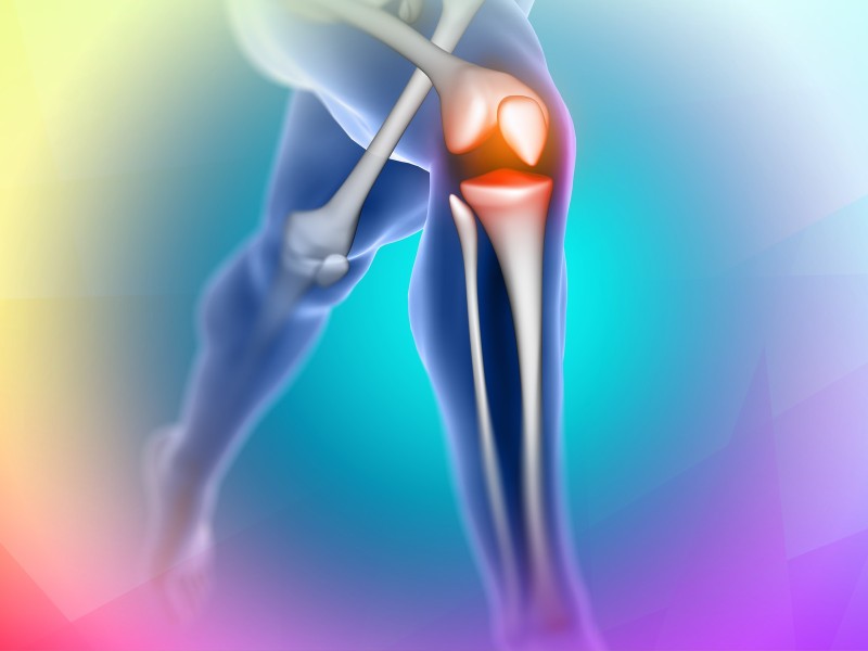 Knee Cartilage Repair and Preservation