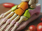 Common Causes of Tarsal Bone Injuries and Disorders