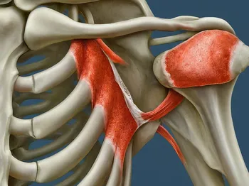 Introduction to SLAP Tears: Understanding the Impact on Life and Performance