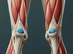 Effective Non-Surgical Treatments for Knee Cartilage Repair