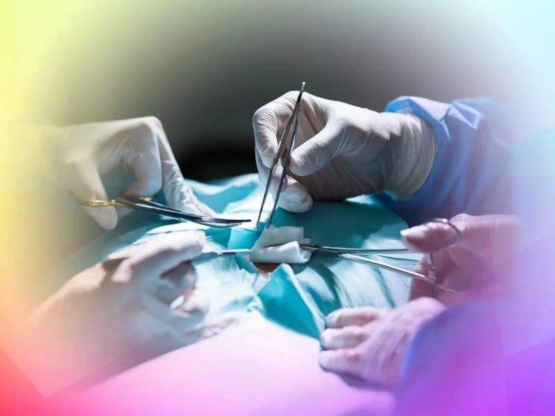 What the ChondroFiller evidence actually shows
