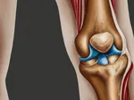 Understanding Cartilage: The Essential Role in Joint Health and Repair