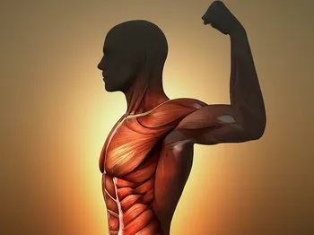 Why Core Strength Matters for Lower Back Pain