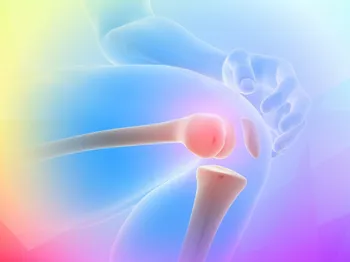 Synovial Fluid and Cartilage Joint Protection