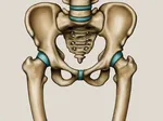 Patient Impact: How Radiology Findings Influence Hip Osteoarthritis Prognosis