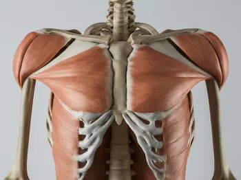 The Importance of Rotator Cuff Health: Understanding Injuries and Rehabilitation Strategies